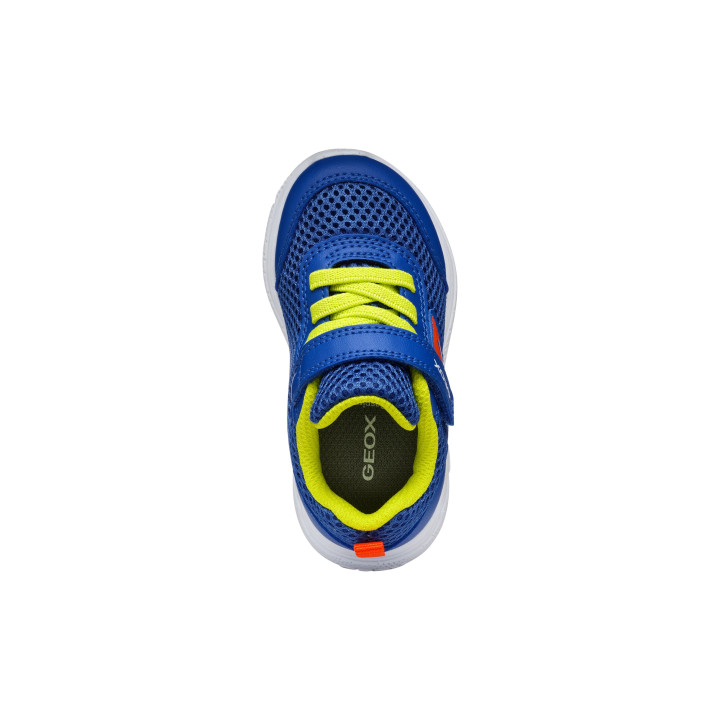 SNEAKERSY GEOX SPRINTYE ROYAL/RED