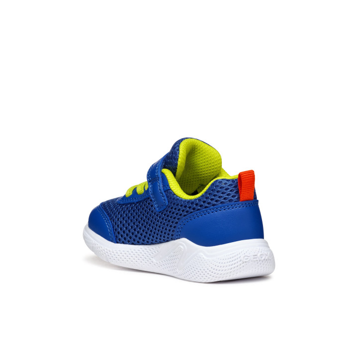 SNEAKERS GEOX SPRINTYE ROYAL/RED