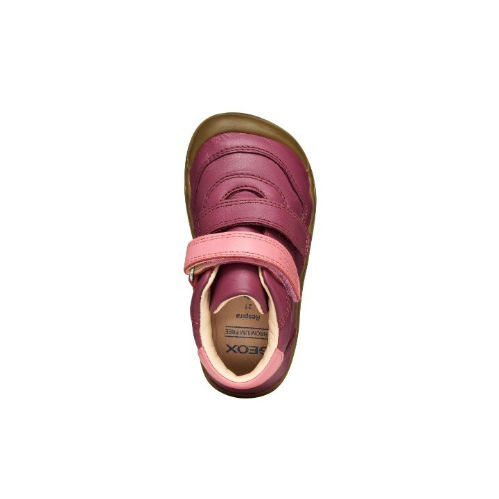 SNEAKERSY BAREFOOT GEOX STEPPIEUP DK PURPLE/DK PINK