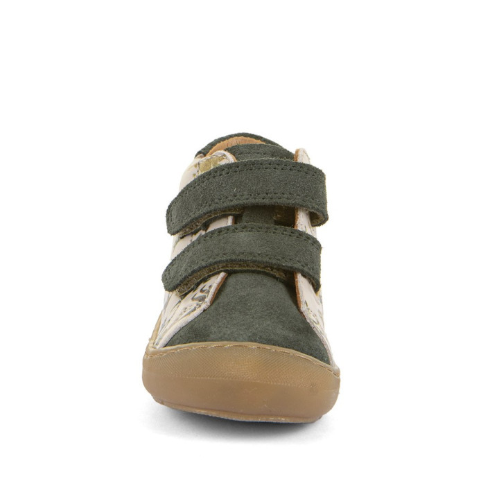 TRZEWIKI FRODDO OLLIE S STAR GOLD