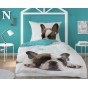 SINGLE DUVET SET HOLLAND YOUNG COLLECTION 160 X 200 CM FRENCH BULLDOG 2726A