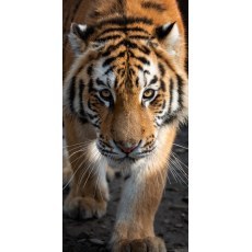 RĘCZNIK KĄPIELOWY PLAŻOWY 70 X 140 CM ANIMAL TYGRYS TNL201006-R