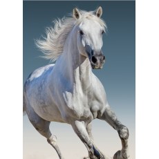 FLEECE BLANKET 100 X 140 CM WHITE HORSE (1523)