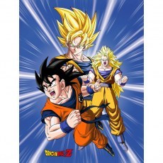 KOC Z POLARU 130 X 170 CM DRAGON BALL DB-1865FB