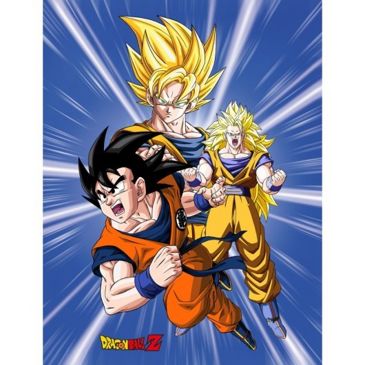 KOC Z POLARU 130 X 170 CM DRAGON BALL DB-1865FB