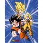 KOC Z POLARU 130 X 170 CM DRAGON BALL DB-1865FB