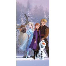 RECZNIK KAPIELOWY PLAZOWY 70 X 140 CM DISNEY FROZEN FROZEN12223-R