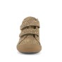 TRZEWIKI FRODDO OLLIE S GOLD+